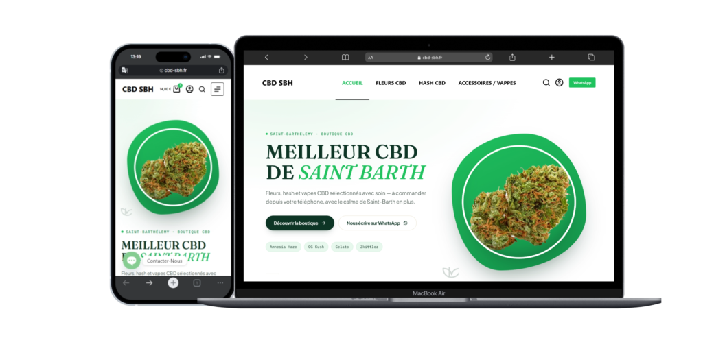 Aperçu du projet CBD SBH